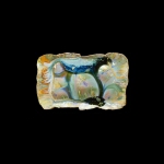Abalone 14x20x4 in.jpg